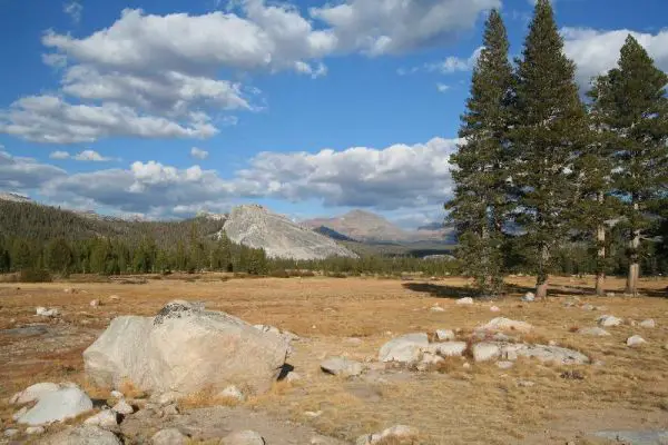 Yosemite Nationalpark
Schlüsselwörter: Yosemite Nationalpark