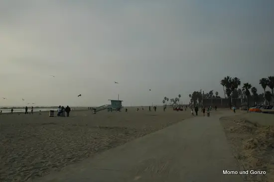 Venice Beach
