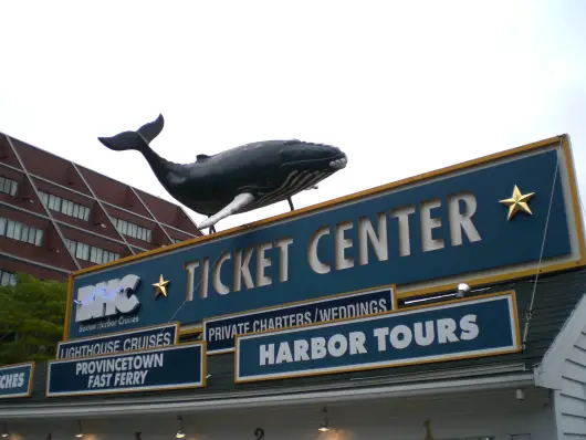 Boston
Whale Watching
