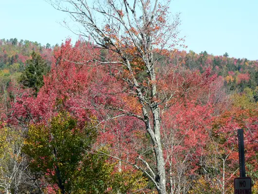 White Mountains
