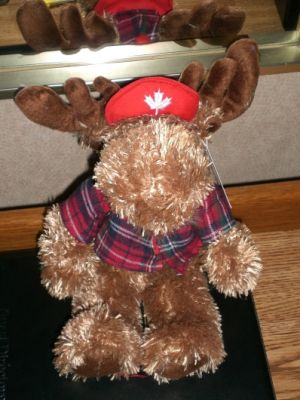 Moe
Canadian Moose
