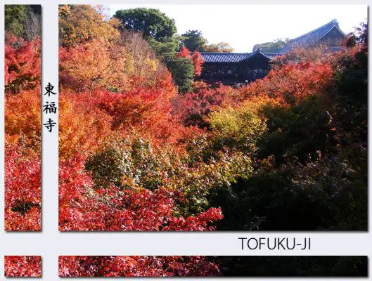 Tofuku02.jpg