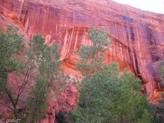 rote Felsenwand
