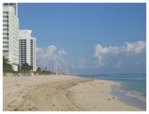 Miami Beach North Beach
