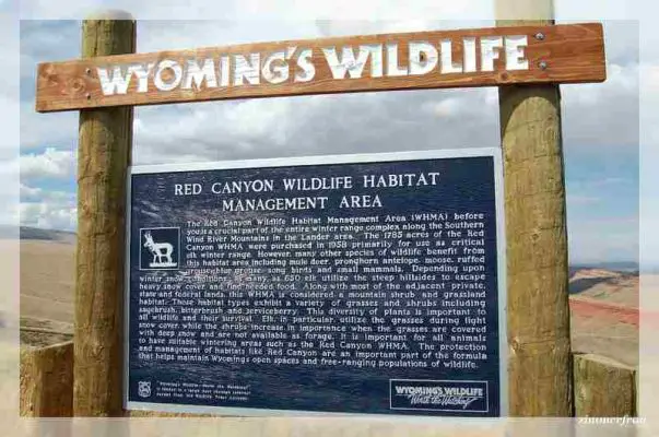 Wyomings Wildlife Sign
