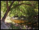 Sabino Canyon Creek