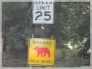 Speeding kills Bears