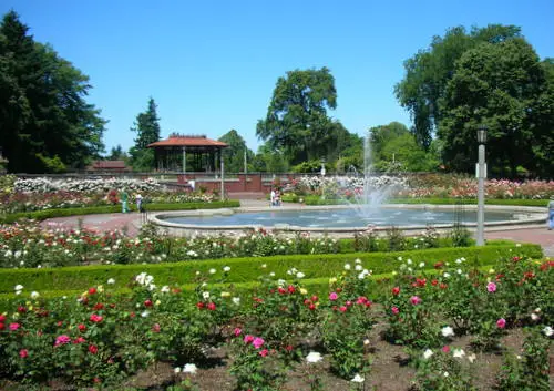 Peninsula Park
Der alte Rosengarten im Peninsula Park
Schlüsselwörter: Portland, Oregon, Rosengarten