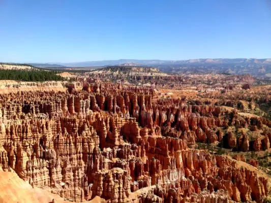 Bryce View
