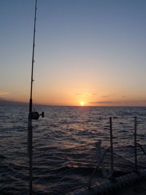 Maui Sunset Sailing Paragon Catamaran
