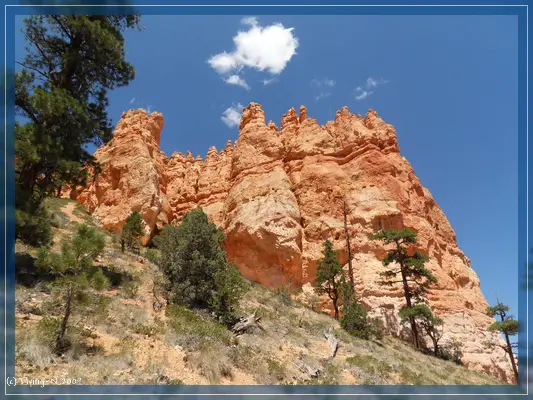 Bryce Canyon
