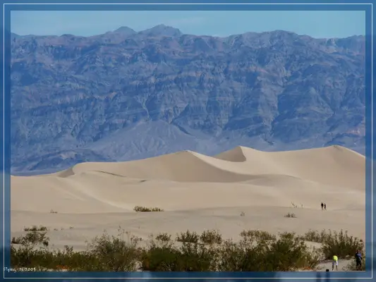 Sand Dunes
