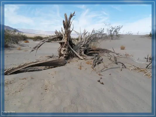 Death Valley
