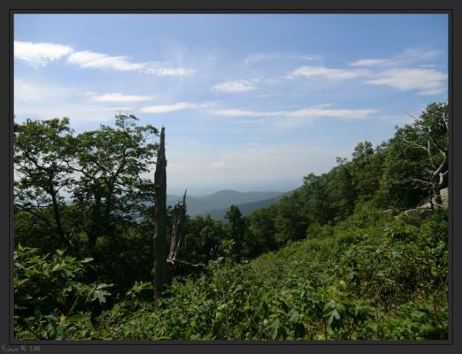 Blue Ridge Mountains
