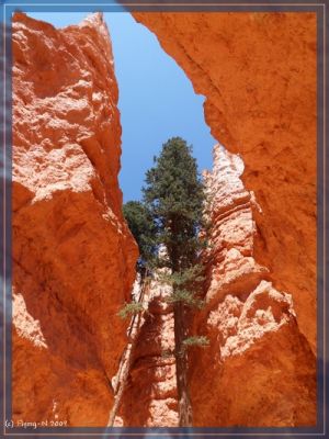 Bryce Canyon
