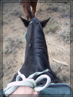 Horseback Riding
