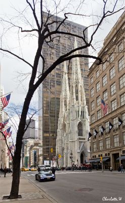 St Patrick's Cathedral
