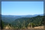 comp_california-redwoods_048.jpg