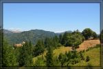 comp_california-redwoods_054.jpg