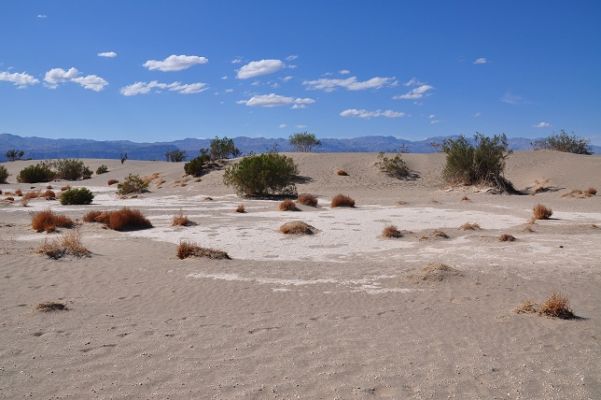 Death_Valley_(248).jpg