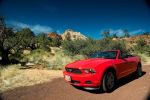 Mustang im Zion NP